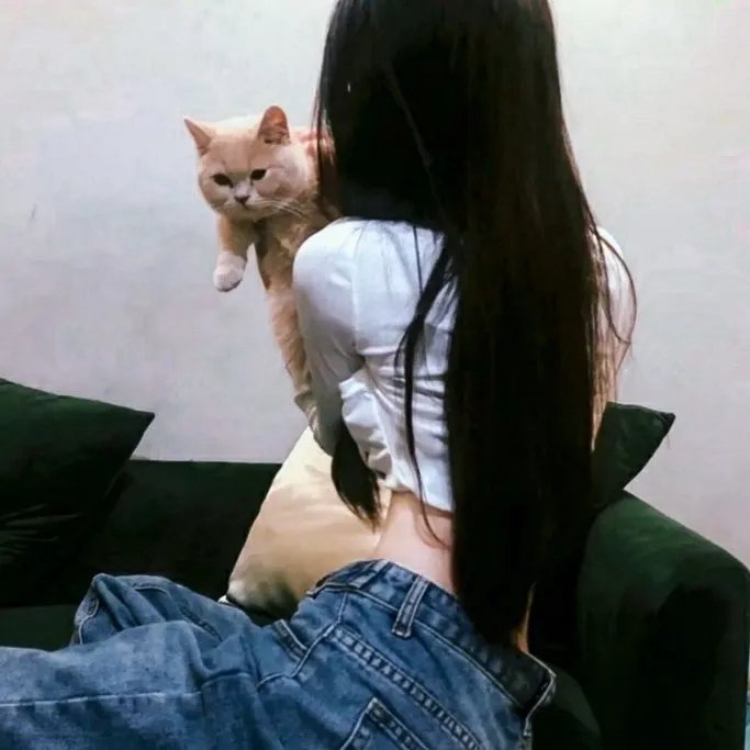 津门飞鹰