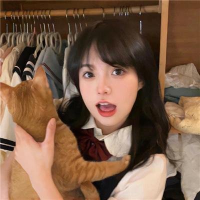 大道似锦